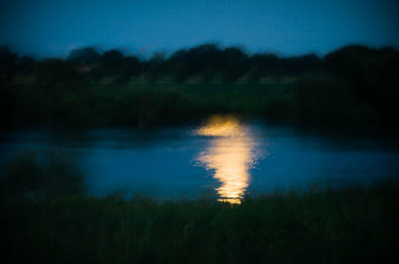 Natuur fotografie