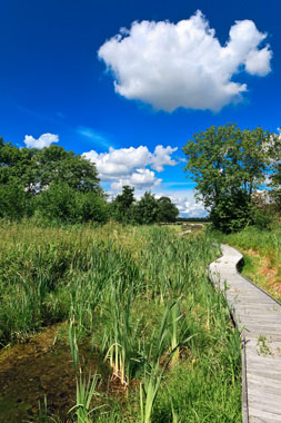 Natuur fotografie