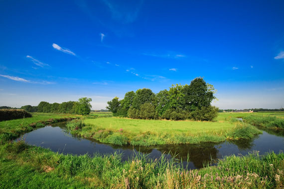 Natuur fotografie
