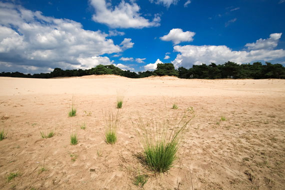 Natuur fotografie