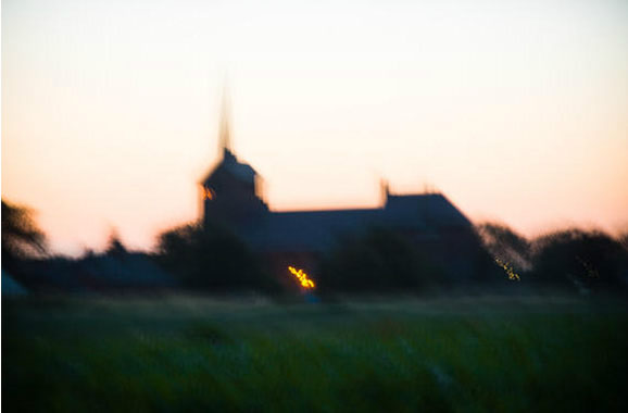 Natuur fotografie