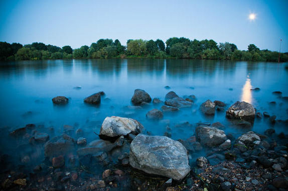 Natuur fotografie