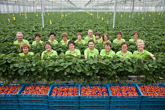 Van Enckevoort Aardbeien
