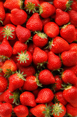 Van Enckevoort Aardbeien